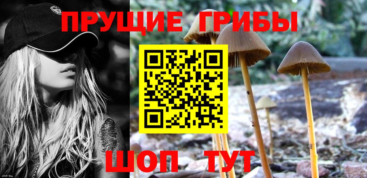Псилоцибиновые грибы Magic Shrooms  Псилоцибиновые грибы прущие грибы  Полевской  Вход с VPN 