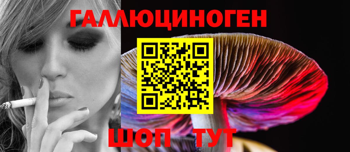 Галлюциногенные грибы мухоморы Полевской